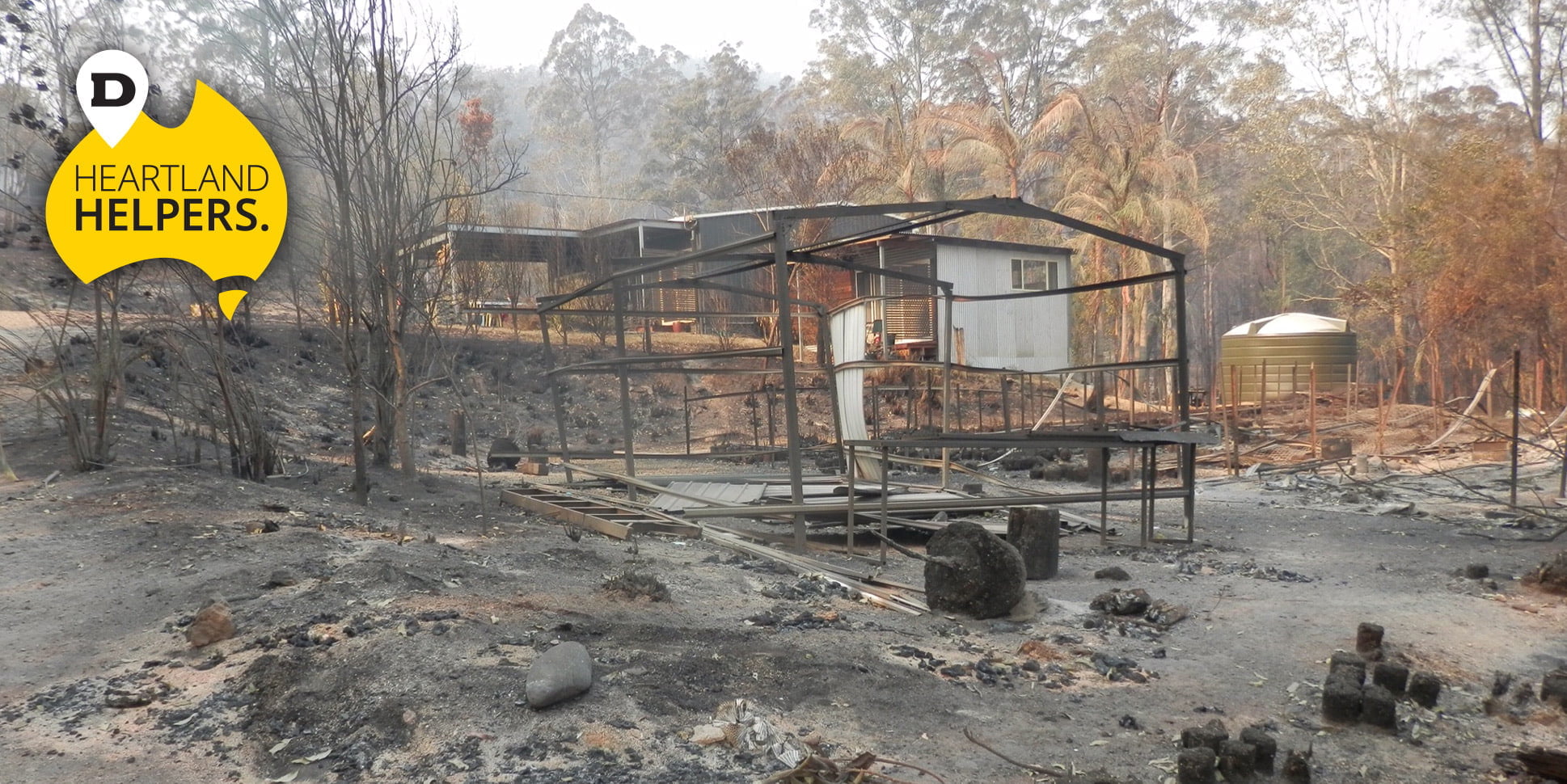 aftermath of bushfire in the rainforest