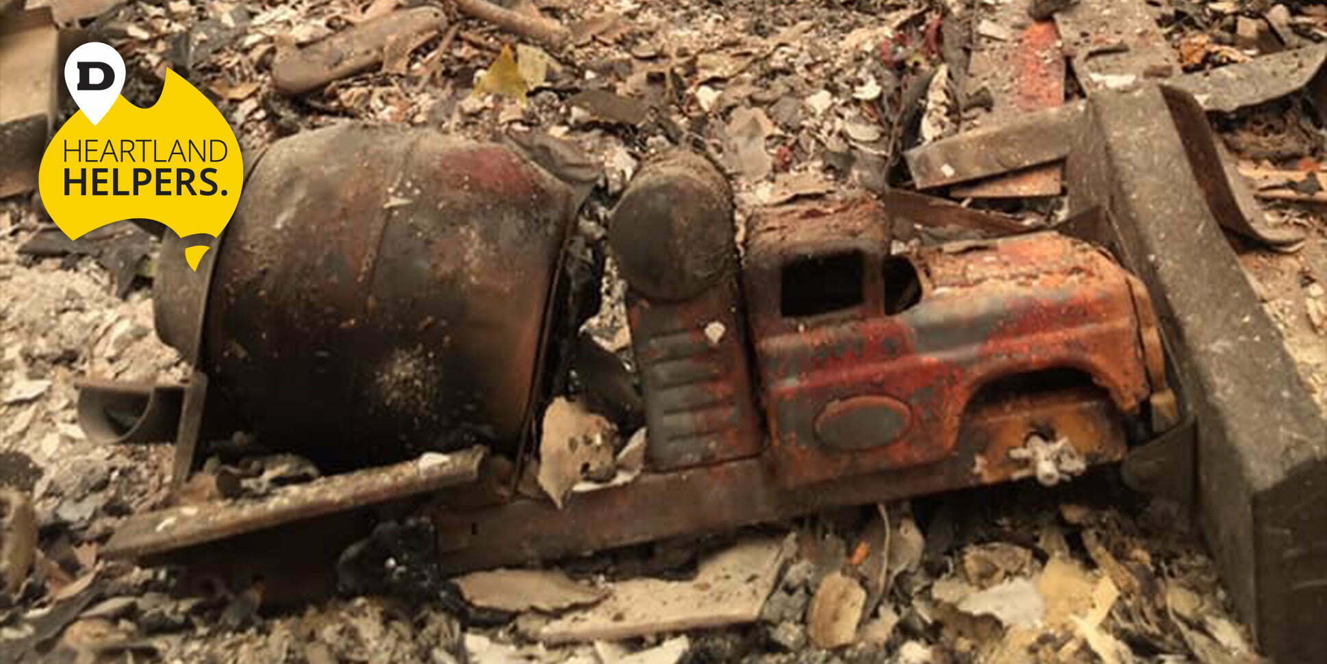 remains after bushfire in the rainforest