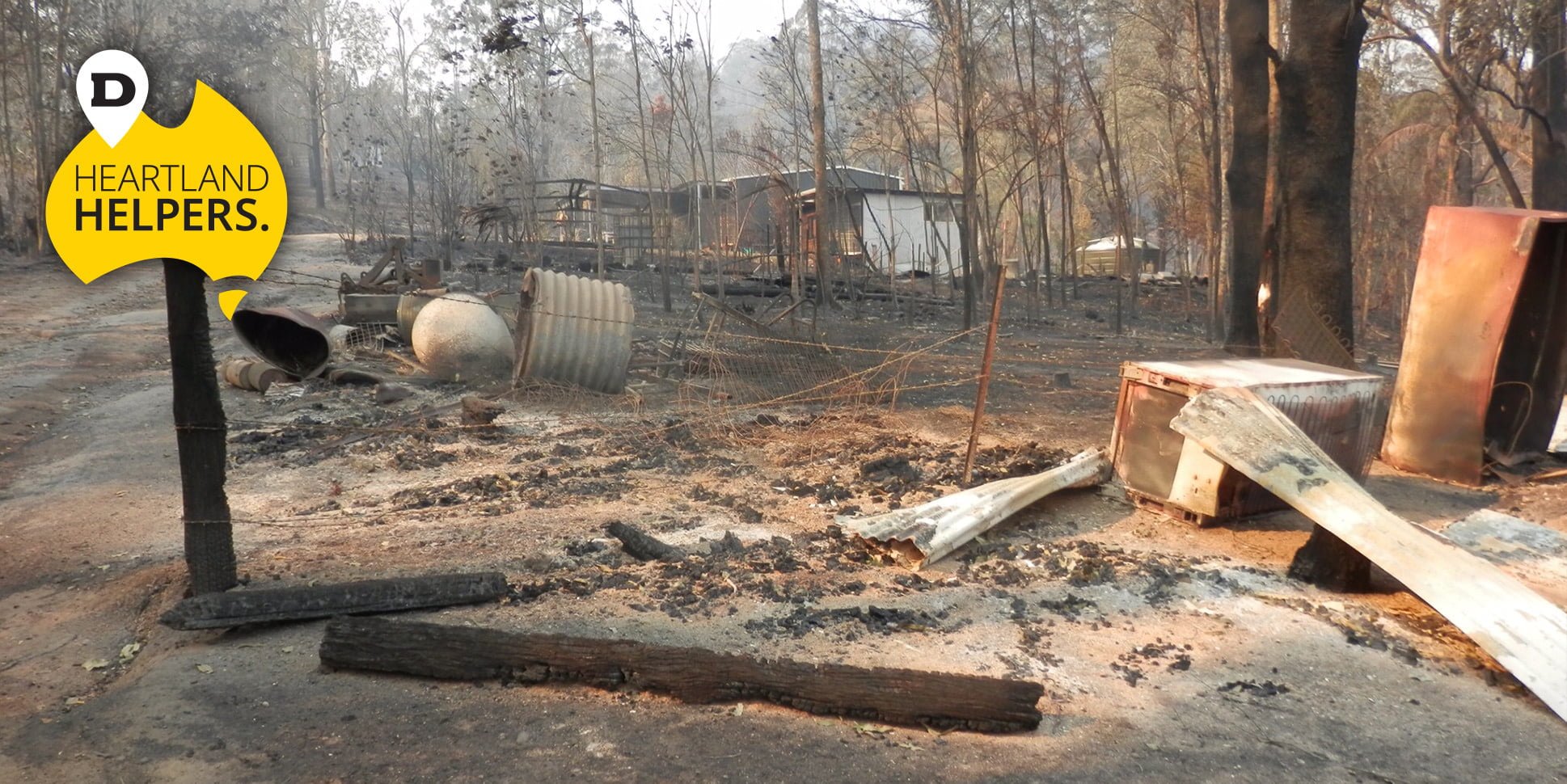 remains after bushfire in the rainforest