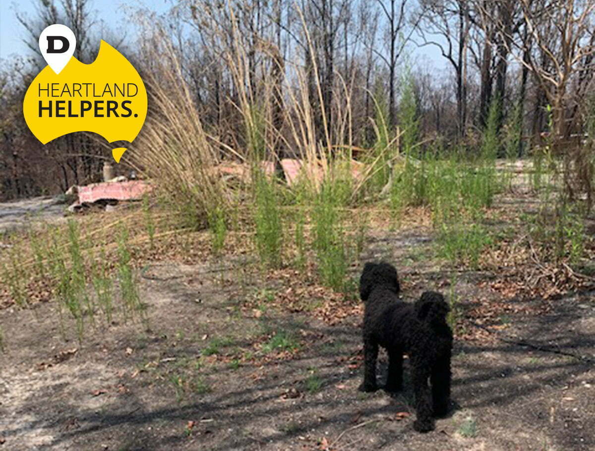 Now to rebuild after losing everything