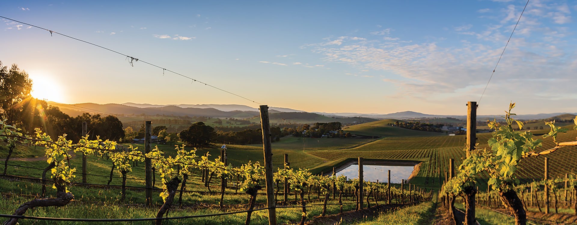 De Bortoli Wines