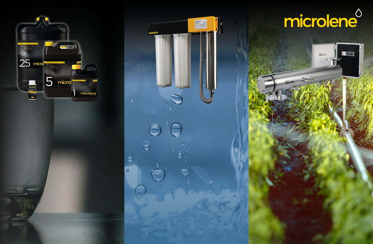 Mouse Plague and a Safe Water Supply