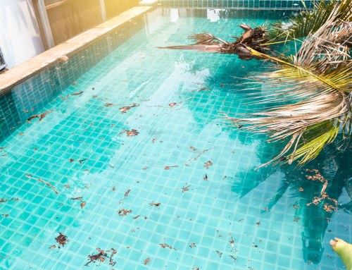 Davey Pool Restore tips after a storm
