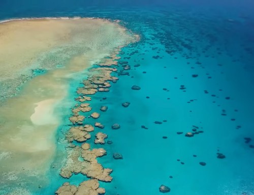 Fresh Water on the Great Barrier Reef