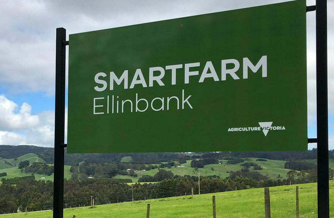 Dam Good Water Quality