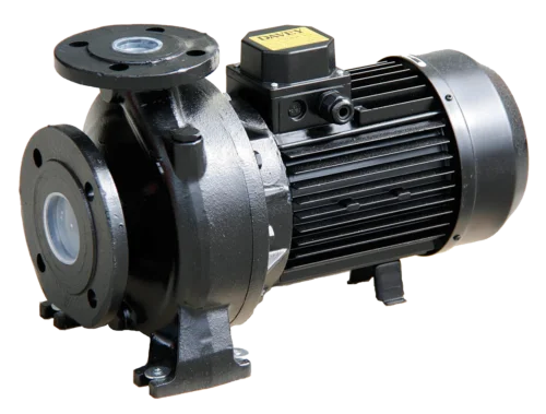 CD Series Washdown Pumps