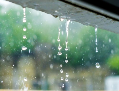 Rainwater capture and use – at your place